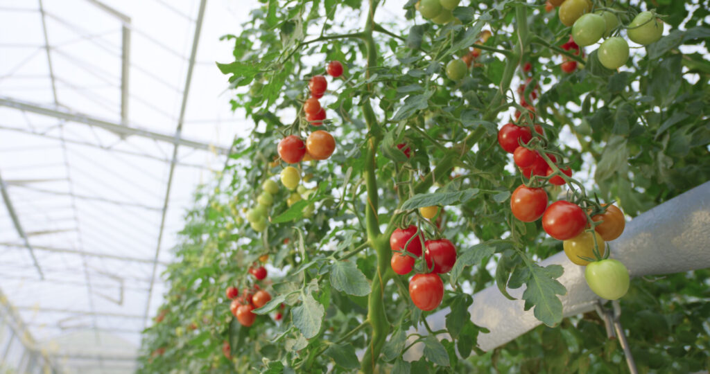 Lorem ipsum dolor sit amet, consetetur